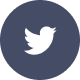 Twitter Logo